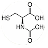 N-Acetyl L-Cysteine (NAC)